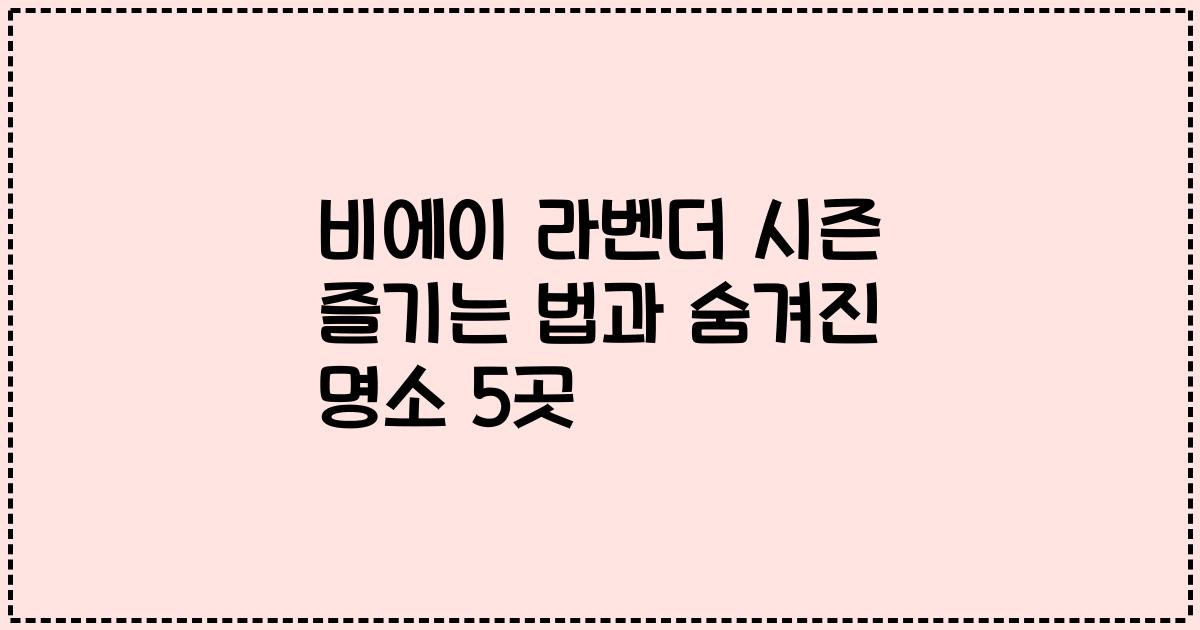 비에이 라벤더 시즌 즐기는 법과 숨겨진 명소 5곳