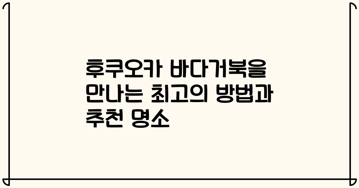 후쿠오카 바다거북을 만나는 최고의 방법과 추천 명소
